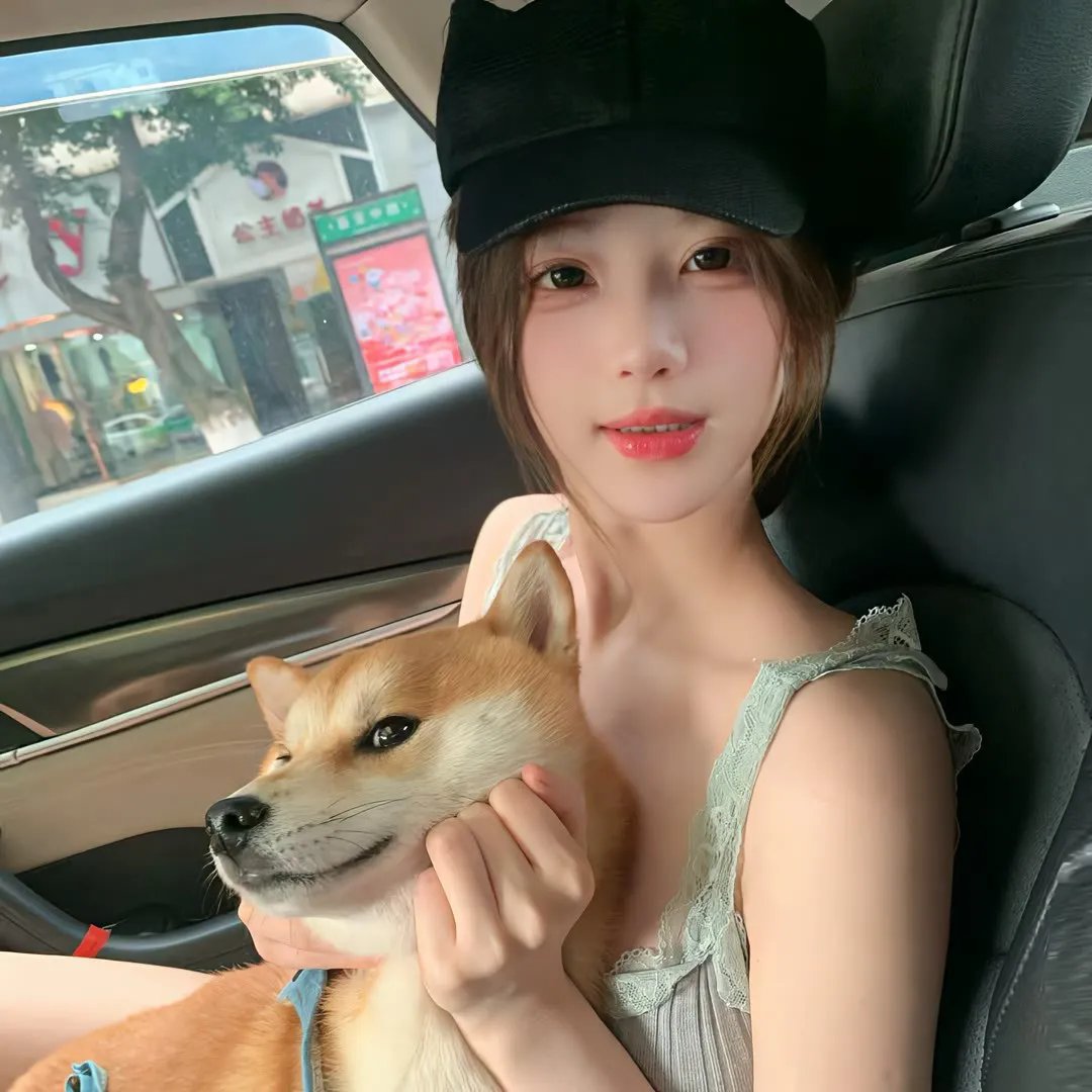 租赁猫